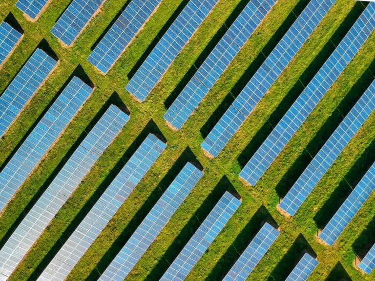 Esfera BR | “O Brasil é importante para a transição energética e ecológica do mundo”, diz diretora do BNDES